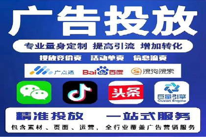 行业领先SEM托管代运营案例
